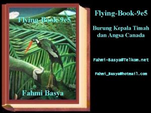 FlyingBook9 e 5 Burung Kepala Timah dan Angsa