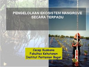 PENGELOLAAN EKOSISTEM MANGROVE SECARA TERPADU Cecep Kusmana Fakultas