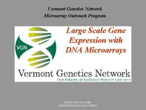 Vermont Genetics Network Microarray Outreach Program Large Scale