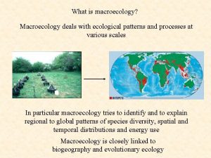 What is macroecology Macroecology deals with ecological patterns