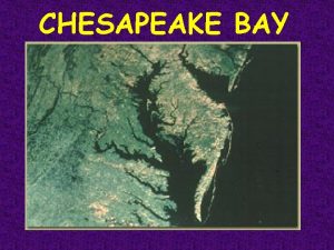 CHESAPEAKE BAY Chesapeake as an Estuary An estuary