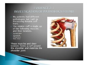 INTRODUCTION According to Jacobson2013 18 most rotator cuff