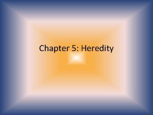 Chapter 5 Heredity Section 1 Genetics Heredity the
