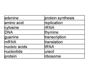 adenine amino acid cytosine DNA guanine m RNA