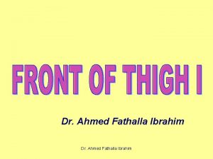 Dr Ahmed Fathalla Ibrahim SUPERFICIAL FASCIA DIVIDED INTO