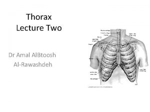 Thorax Lecture Two Dr Amal Al Btoosh AlRawashdeh