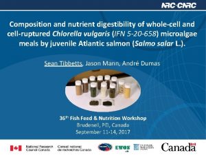 Composition and nutrient digestibility of wholecell and cellruptured