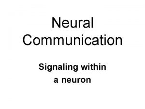 Neural Communication Signaling within a neuron Postsynaptic Potentials