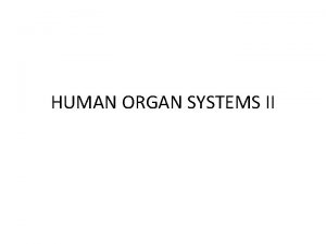 HUMAN ORGAN SYSTEMS II Organ system Skeletal Main