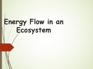 Energy Flow in an Ecosystem 1 2 Energy