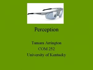 Perception Tamara Arrington COM 252 University of Kentucky