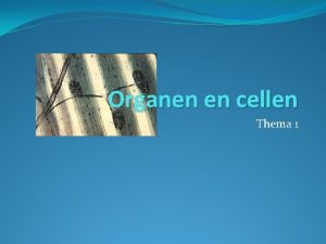 Organen en cellen Thema 1 Bs 1 Organismen