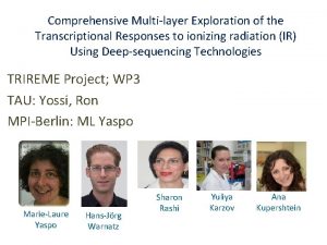 Comprehensive Multilayer Exploration of the Transcriptional Responses to