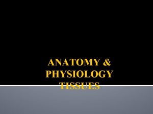 ANATOMY PHYSIOLOGY TISSUES TISSUES group of similar cells