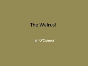 The Walrus Ian OConnor Habitats of the Walrus