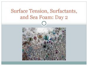 Surface Tension Surfactants and Sea Foam Day 2