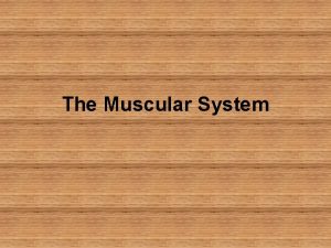 The Muscular System Function of the muscular system