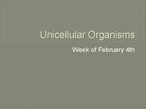 Unicellular Organisms Week of February 4 th Unicellular