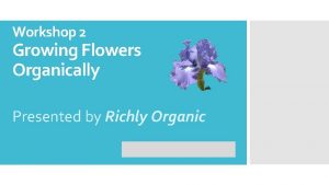 Workshop 2 Growing Flowers Organically Presented by Richly