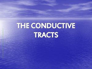 THE CONDUCTIVE TRACTS THE WHITE MATTER OF THE