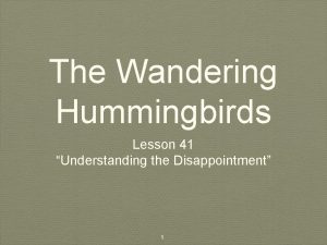 The Wandering Hummingbirds Lesson 41 Understanding the Disappointment