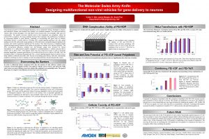 The Molecular Swiss Army Knife Designing multifunctional nonviral