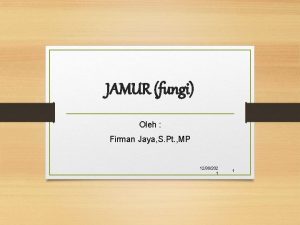 JAMUR fungi Oleh Firman Jaya S Pt MP