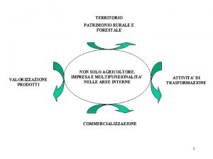 TERRITORIO PATRIMONIO RURALE E FORESTALE VALORIZZAZIONE PRODOTTI NON