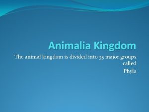 Animalia Kingdom The animal kingdom is divided into