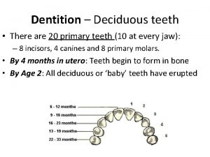 Dentition Deciduous teeth There are 20 primary teeth