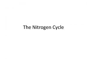 The Nitrogen Cycle Why is Nitrogen Important Nitrogen