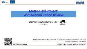 MetroHaul Project WP 6 Second Period Review Old