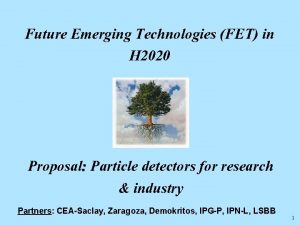 Future Emerging Technologies FET in H 2020 Proposal