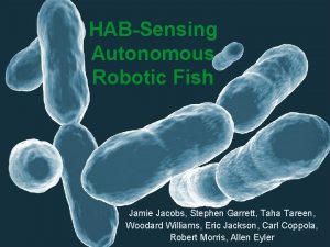 HABSensing Autonomous Robotic Fish Jamie Jacobs Stephen Garrett