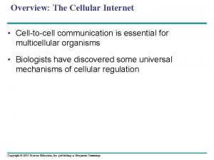 Overview The Cellular Internet Celltocell communication is essential