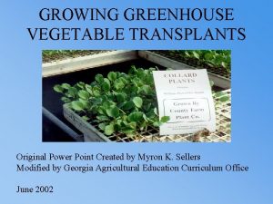 GROWING GREENHOUSE VEGETABLE TRANSPLANTS Original Power Point Created