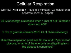 Cellular Respiration Do Now Xtra credit due in