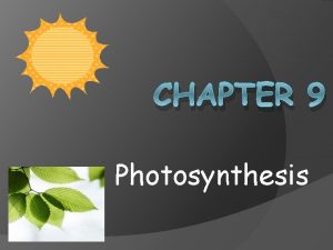 CHAPTER 9 Photosynthesis Photosynthesis An Overview Living things