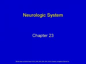 Neurologic System Chapter 23 Elsevier items and derived