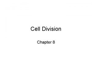 Cell Division Chapter 8 Cell Division in Eukaryotes