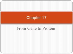 Chapter 17 From Gene to Protein Connection Between