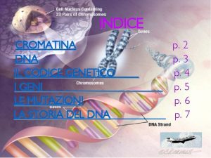 INDICE CROMATINA DNA IL CODICE GENETICO I GENI