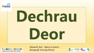 Dechrau Deor Mawrth 5 ed About to hatch