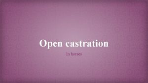 Open castration In horses Open castration is the