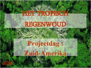 HET TROPISCH REGENWOUD Projectdag ZuidAmerika Werkwijze Het is