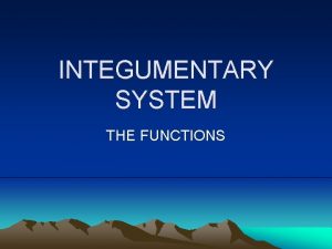 INTEGUMENTARY SYSTEM THE FUNCTIONS SEVEN FUNCTIONS OF THE