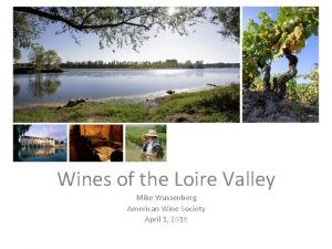 Wines of the Loire Valley Mike Wassenberg American