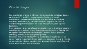 Ciclo del nitrogeno Los organismos emplean el nitrgeno