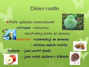 Dlen rostlin Podle zpsobu rozmnoovn vtrusn nekvetou nevytvej