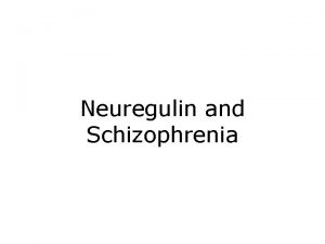 Neuregulin and Schizophrenia Schizophrenia Debilitating mental illness affecting